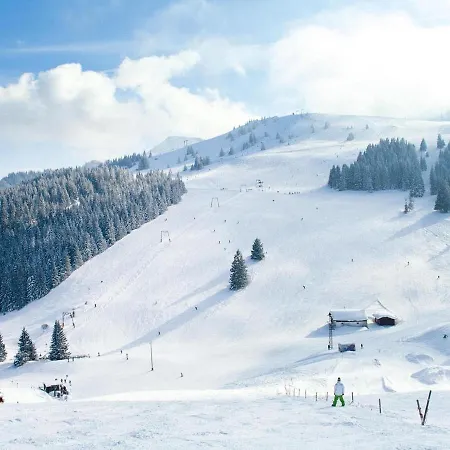 In Den Bayerischen Alpen * Bayrischzell