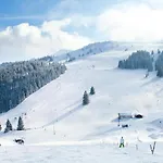 In Den Bayerischen Alpen * Байришцелль